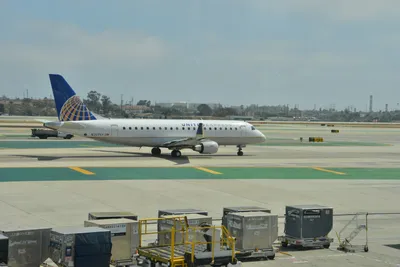 DSC_4067 (Large).JPG